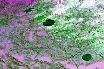 N 046B